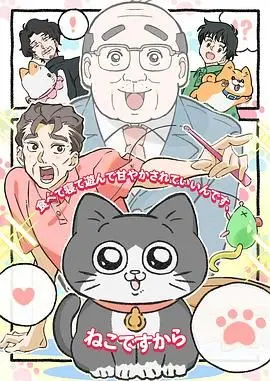 《转生成猫的大叔》：当腹黑大叔化身软萌喵星人，一场关于爱与救赎的奇幻冒险，笑中带泪的治愈系动画